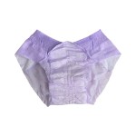 经期裤厂家 - 热销夜用一次性女士裤高吸收