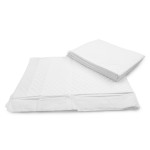 Underpads Manufacturer - Disposable Plain Non Woven Surface Pe Backsheet Adults Use