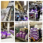 洗衣粉供应商 - 抗菌可定制环保洗衣粉