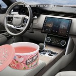 汽车香薰生产厂家 - 70g桃子藻凝胶香薰