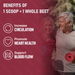 甜菜根粉生产厂家 - 有机超级食品天然色素