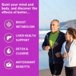 水飞蓟液滴供应商 - 野生有机肝脏补充剂