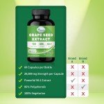 葡萄籽胶囊工厂 - 可定制多酚草本提取物