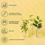 螺旋藻小球藻胶囊生产厂家 - 素食破壁技术