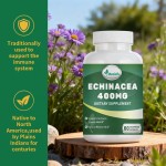 紫锥菊胶囊供应商 - 天然草本免疫系统