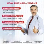 NAD+饮料混剂工厂 - 浆果味抗氧化