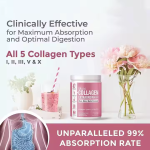 胶原蛋白益生菌粉生产厂家 - 水解专有配方