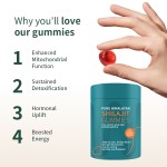 喜来芝胶囊工厂 - 肌肤亮白睡眠支持