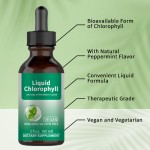 叶绿素液滴工厂 - 素食GMP认证