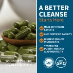 结肠清洁胶囊生产厂家 - 14天肠道健康