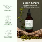 叶绿素口服液滴生产厂家 - 抗氧化膳食补充剂