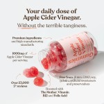 苹果醋软糖工厂 - 维生素B12无麸质