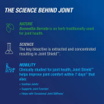 Joint Support Tablets Factory - Vegan MSM Turmeric Halal