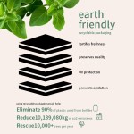 牛至油软胶囊生产厂家 - 黑籽油300mg