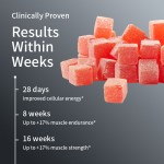 尿石素A软糖生产厂家 - 细胞更新长寿支持