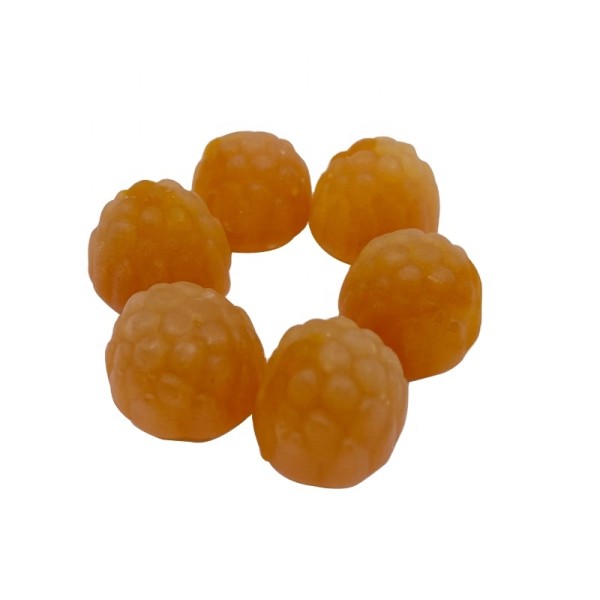 Protein Supplement Factory - Whey Protein Powder OEM