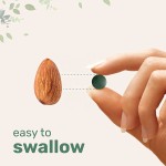 银杏叶供应商 - 草本提取物软胶囊