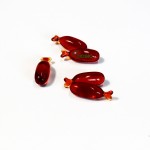 宠物软胶囊生产厂家 - 虾青素Omega3胶囊