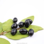 维生素胶囊生产厂家 - 铁锌硒胶囊