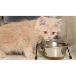 猫粮生产厂家 - 高蛋白猫条代工