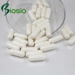 大豆蛋白生产厂家 - 素食分离蛋白粉