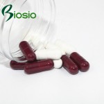 银杏叶厂家 - 草本营养软胶囊