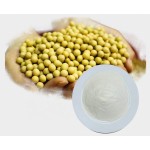 维生素C软糖供应商 - 高含量维生素C软糖