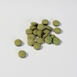 宠物补充剂供应商 - 三文鱼粉猫用片剂