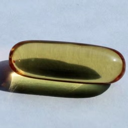 沙棘油厂家 - GMP认证供应商