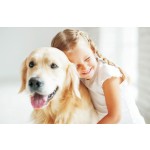 宠物食品供应商 - 鸭味宠物主食