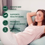 烟酰胺胶囊工厂 - 易服用营养补充剂