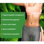 绿咖啡胶囊生产厂家 - 燃脂碳水阻断