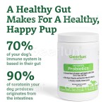 南瓜粉工厂 - 犬消化支持纤维