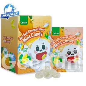 薄荷糖供应商 - 批量多口味含片