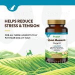 马益生菌膏生产厂家 - 免疫消化支持