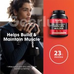 乳清蛋白粉供应商 - 100%分离运动后