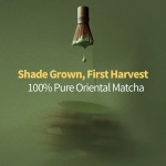 抹茶绿茶粉生产厂家 - 草本能量奶油味