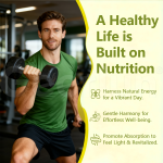 人参胶囊生产厂家 - 增重能量耐力