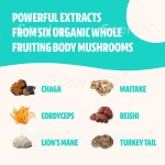 猴头菇粉工厂 - 益智认知功能