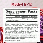 能量片生产厂家 - 无糖B12益智