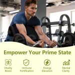 人参胶囊生产厂家 - 增重能量耐力