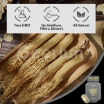 人参丸工厂 - 天然肌肉增长支持