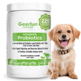 南瓜粉工厂 - 犬消化支持纤维