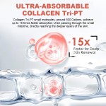 胶原蛋白片工厂 - 1型3型肌肤屏障