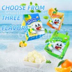 薄荷糖供应商 - 批量多口味含片