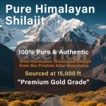 黄腐酸补充剂生产厂家 - 有机免疫健脑