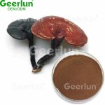 蘑菇咖啡粉生产厂家 - 3合1能量专注