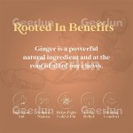 姜糖工厂 - 素食消化健康柠檬