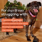 犬镇静片供应商 - 洋甘菊褪黑素压力