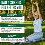 免疫增强胶囊供应商 - 叶绿素能量水平